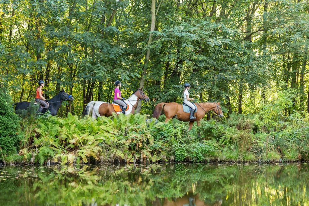 Rancho Slezanski Mlyn Szczepanow  ภายนอก รูปภาพ