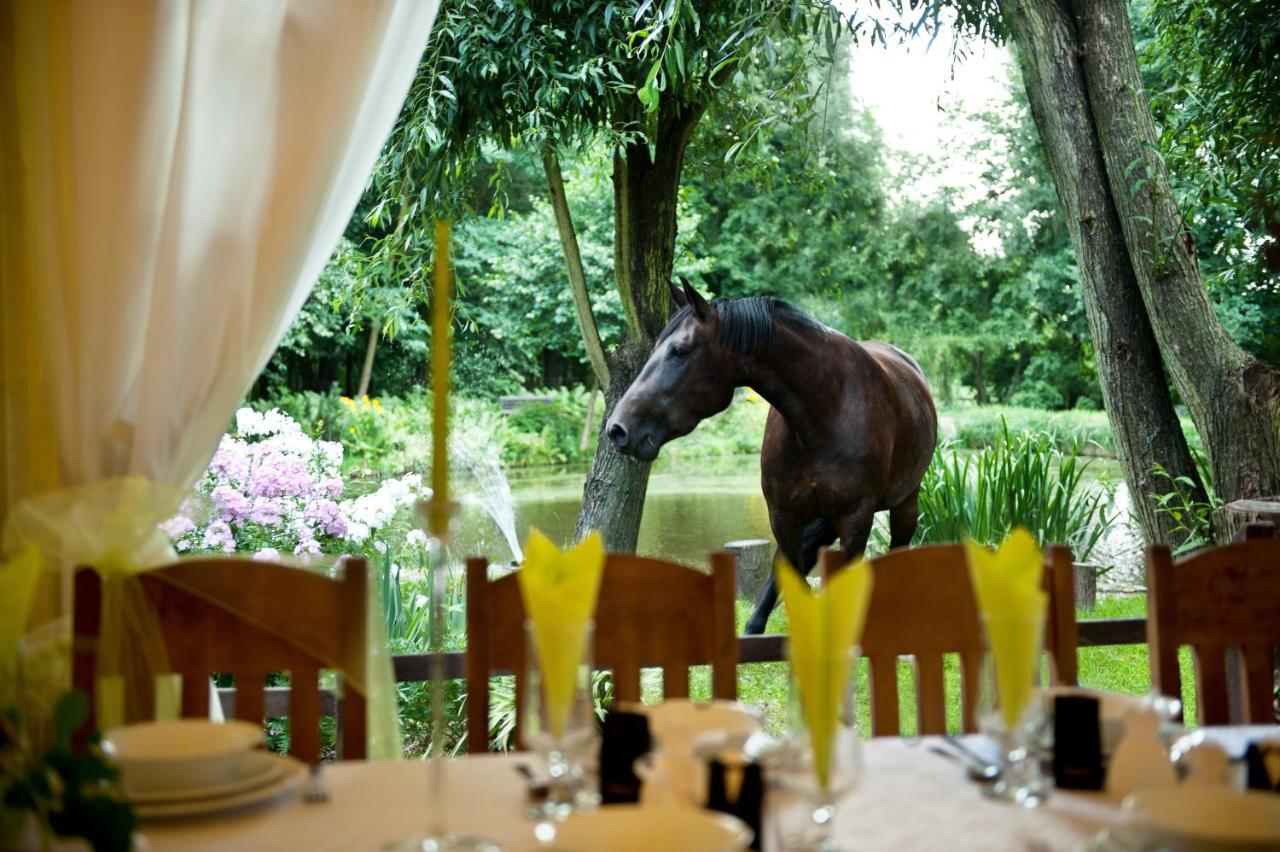 Rancho Slezanski Mlyn Szczepanow  ภายนอก รูปภาพ